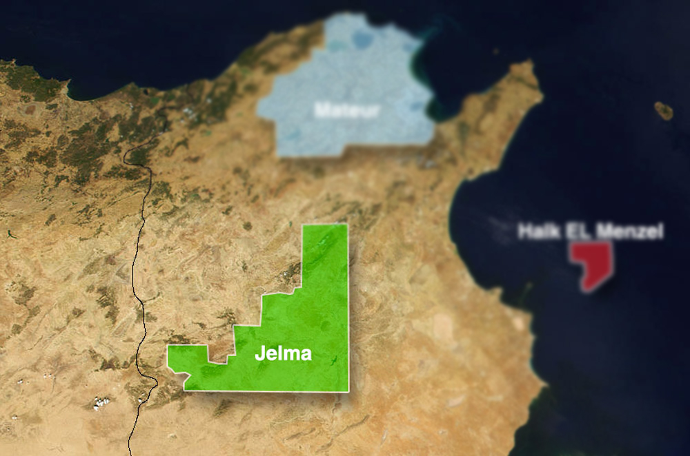 Tunisian Offshore and onshore Petroleum and Industrial Contractors